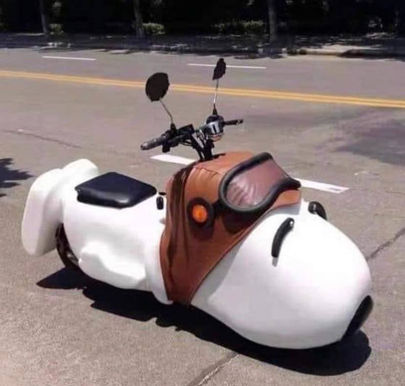 taemzeus's tweet photo. jungwoo pulling up on stage with his snoopy motorcycle https://t.co/aWkFJl1kSy