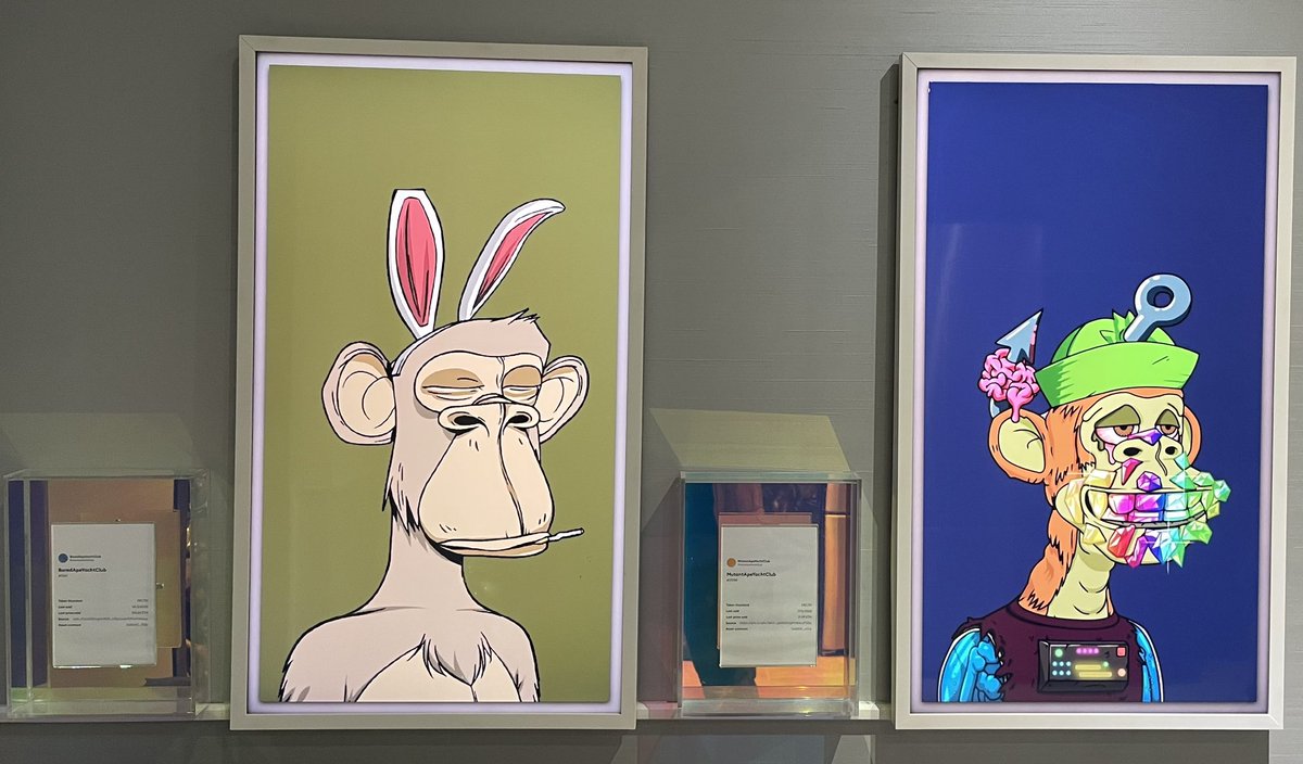 DimSumMaxi (🍌,🥟) 🤝🏽 tweet media