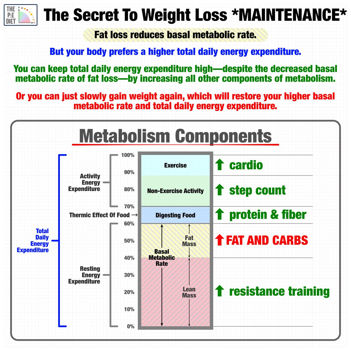 If you eat fewer calories, you will lose fat. But fat loss lowers basal metabolic rate—and your body preferred your previous higher daily intake and expenditure. So how do you prevent weight regain?

The secret? Increasing the other components of metabolism via diet and exercise:
