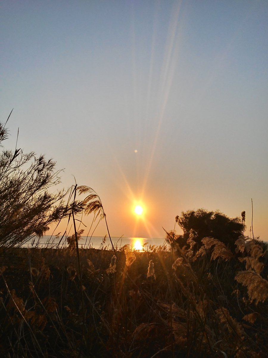 DirTecno's tweet photo. Un buongiorno speciale a #laPersonache che sa guardare oltre le apparenze, e che sa apprezzare con gentilezza, i più svariati orli di bontà cuciti sul prezioso e luminoso cuore, un buongiorno alle persone speciali. https://t.co/ZRR26K9RmX