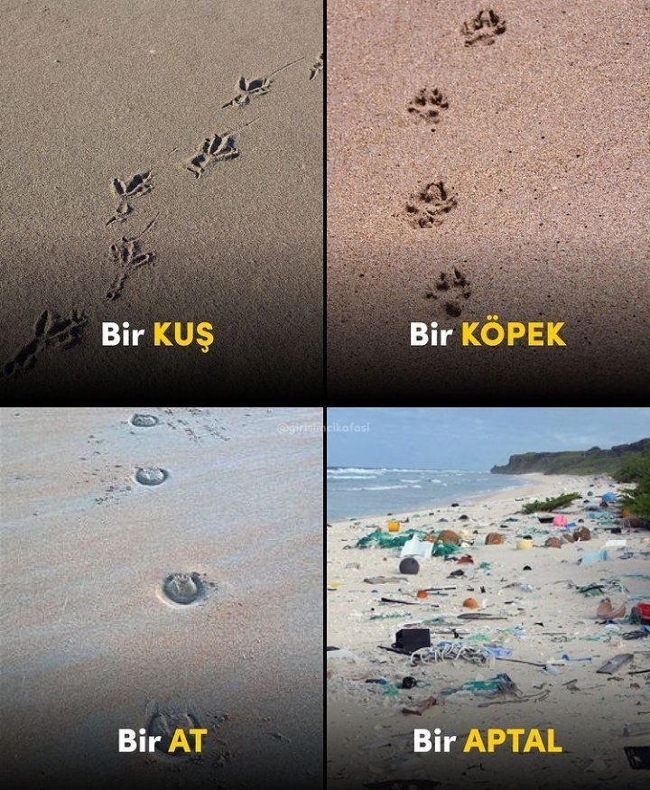 Bir şeyi her zaman bulduğunuzdan daha temiz bırakın!