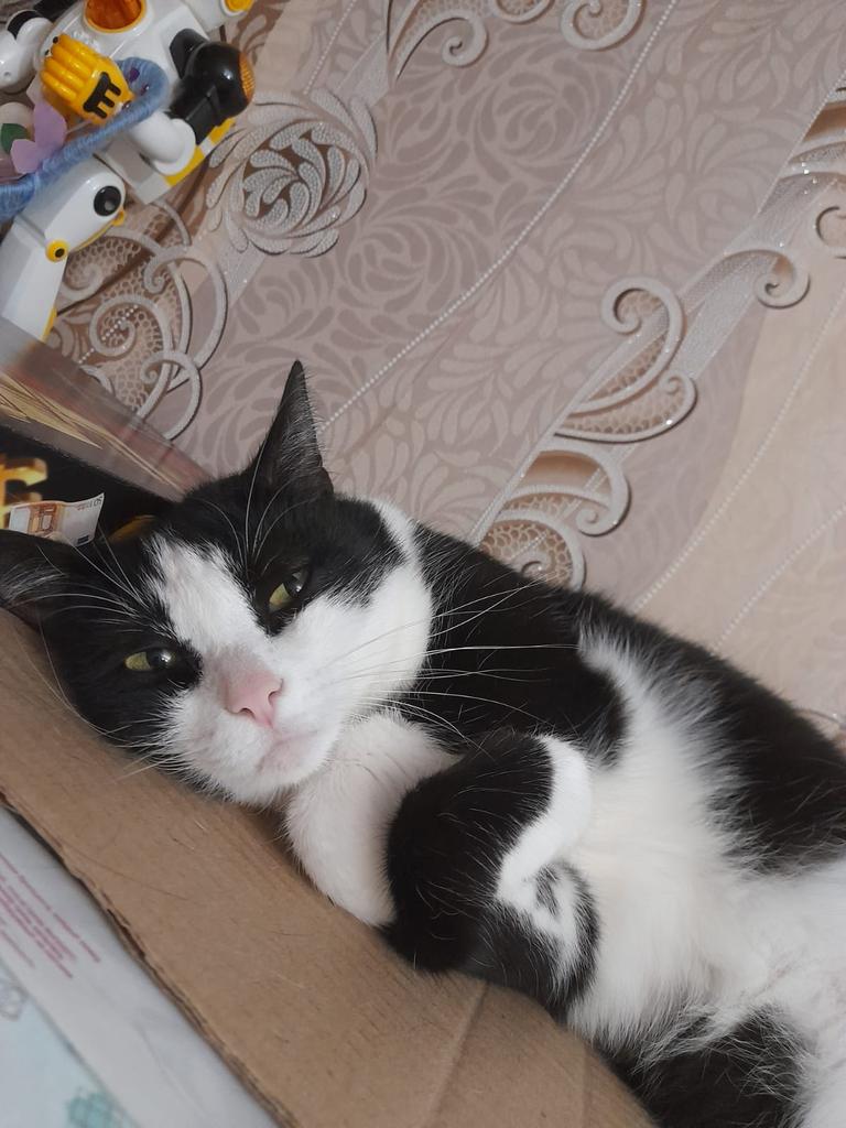 enderfromwinter's tweet image. О чём она думает?