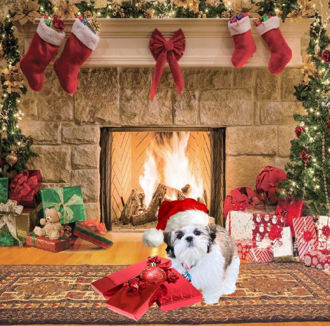 <a href="/Metadream23/">Metadream 🐐</a> <a href="/mitchconnorfr/">MitchconnorCM🌐</a> <a href="/Ghost_Brainz/">𝙶𝚑𝚘𝚜𝚝 𝙱𝚛𝚊𝚒𝚗</a> and myself will be working on an exclusive pixel art collection called #bobonft and it will be limited to 420 mints. We will announce more soon #icp #ICPeople #nfts #web3 #pixelart