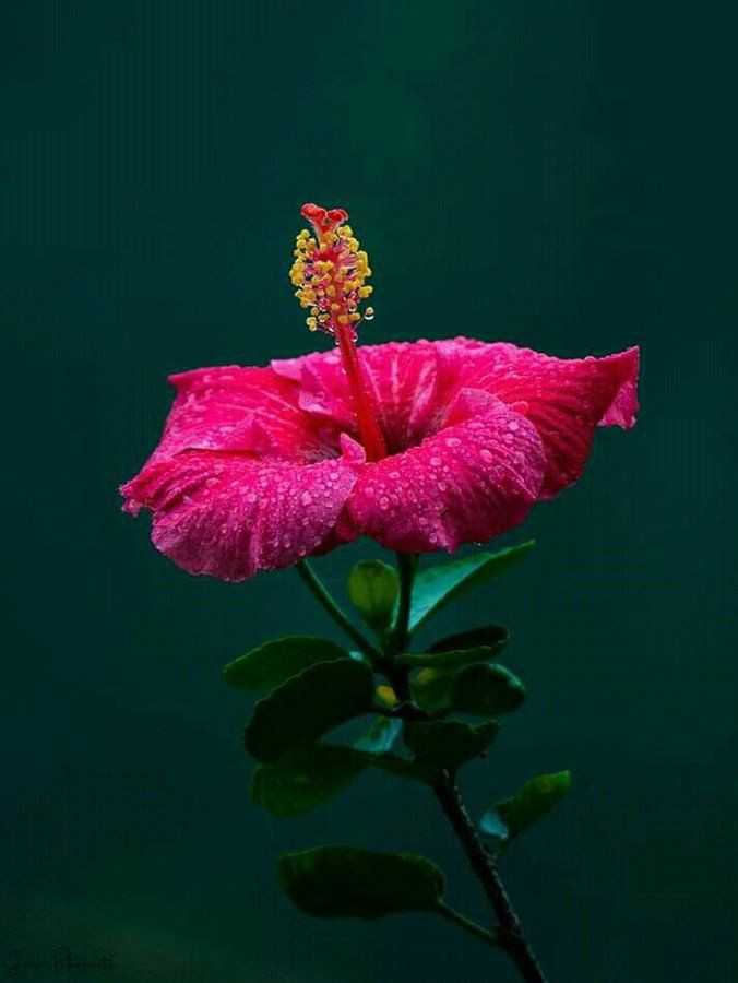 AnilReja's tweet photo. #Bucche #Aur #Gubbare
#Ye #Rishta #Kuchh #Kehta #Hai
π§¬β€οΈβ€οΈππππ₯³πβ£οΈππ https://t.co/NlJXvHK9Iz
