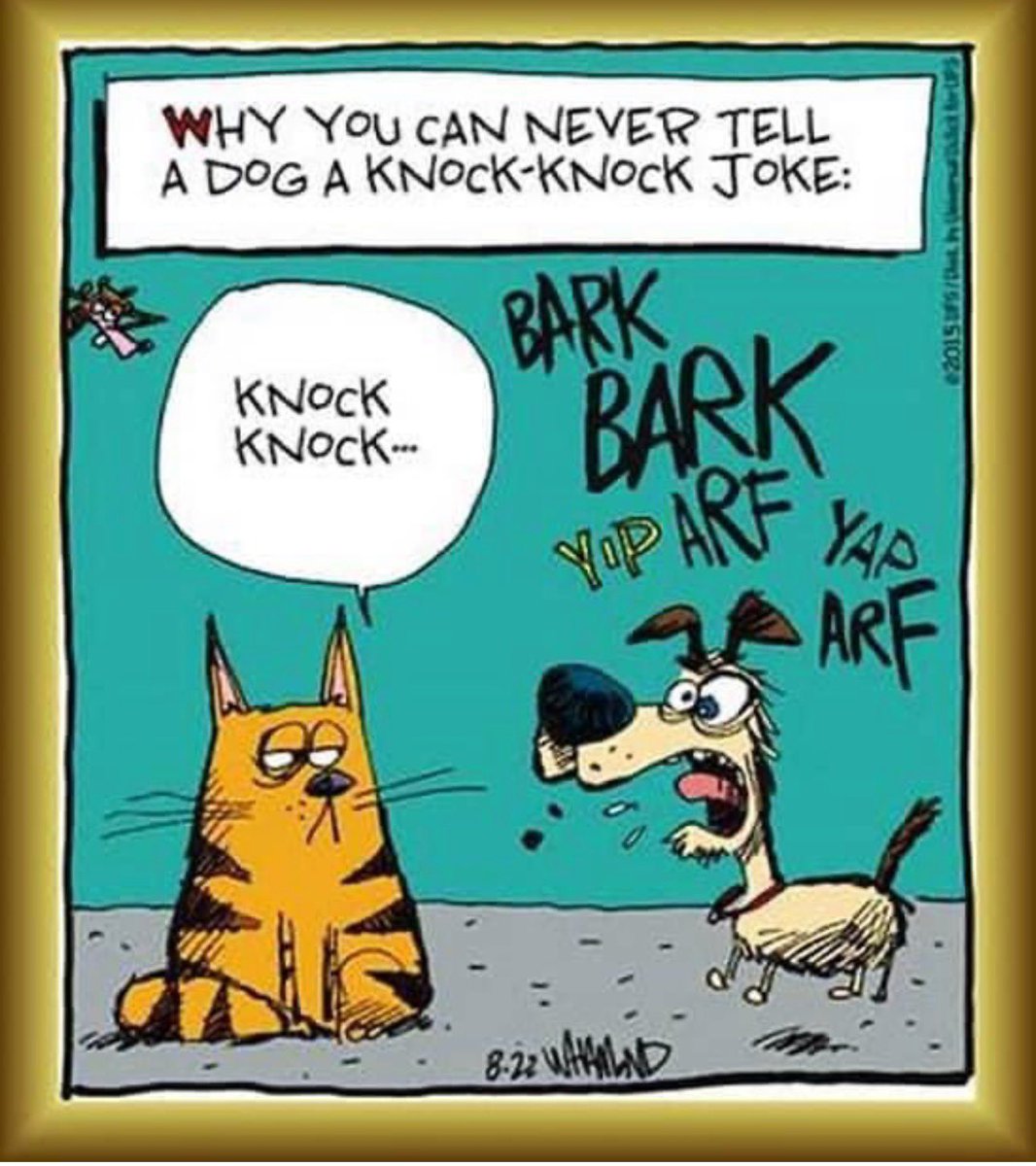 I fail to see the humor in this 🫤🐾