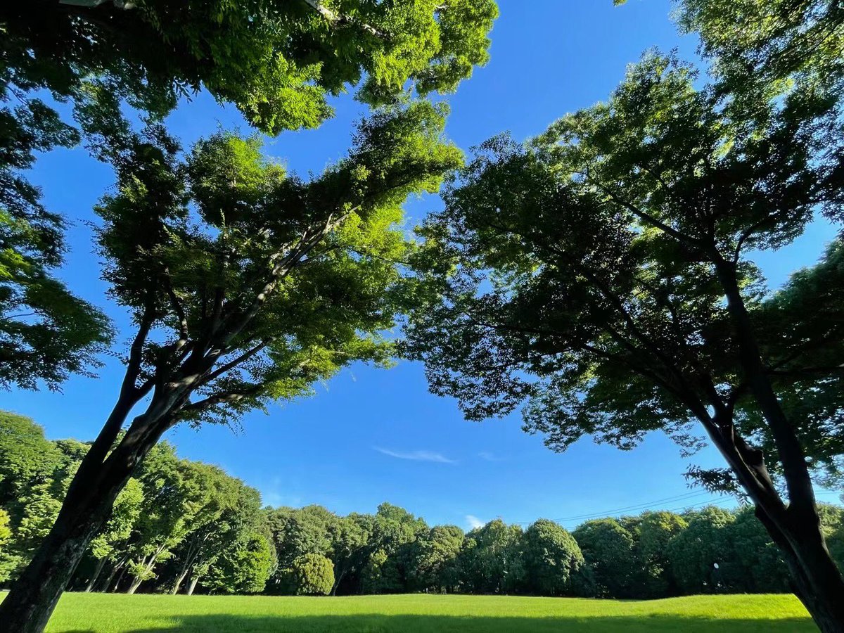 Kimberly (@yuricyann121) on Twitter photo 