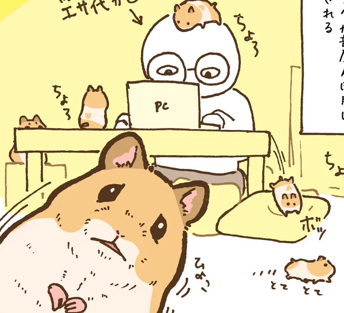 明日の夕方に漫画を投稿予定です🐹 