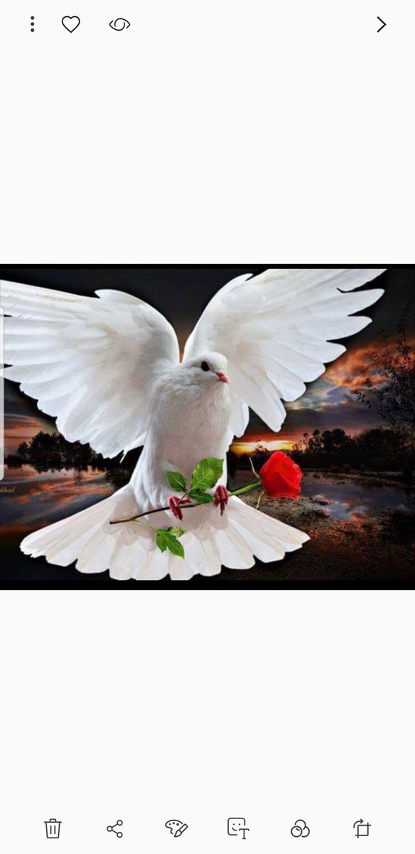 abwhalla's tweet photo. @sha_mar2911 يارب 񜠠🕊️ https://t.co/mFN8JSRVrK