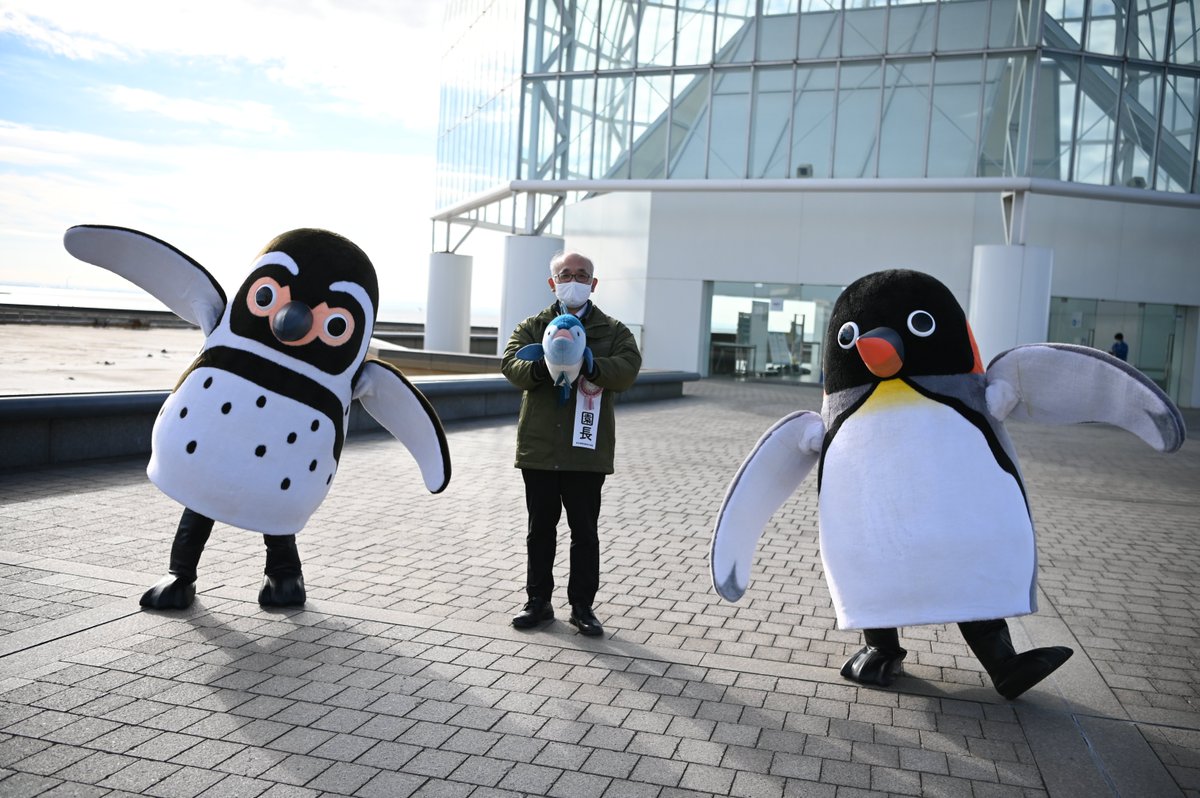 🎍1月2日、3日に、オウサマペンギンの「オーちゃん」とフンボルト