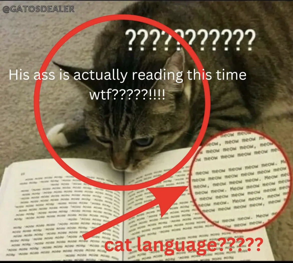 RespectfulMemes's tweet image. 