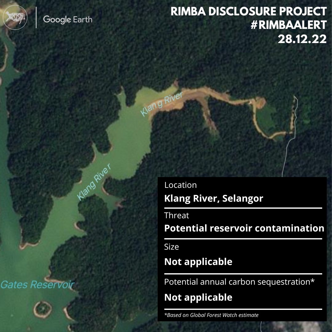 RimbaWatch tweet media