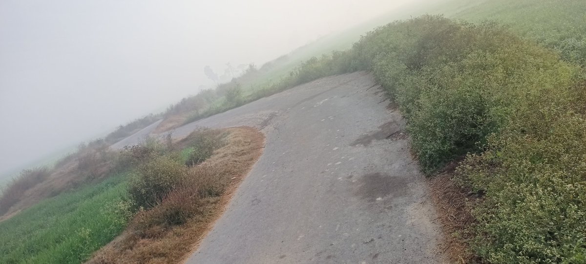 kala_aibli's tweet photo. महोदय जी, गांव ऐबली खालसा से गांव बड़थल को जोड़ने वाली सड़क के बीच एक खतरनाक मोड़ है जिस पर धुंध (कोहरे) के कारण दुर्घटनाएं हो चुकी हैं। अतः आप से अनुरोध है कि इस मोड़ पर reflective sign लगवाने की कृपा करे। ताकि भविष्य में कोई दुर्घटना न हो।
खंड - नीलोखेड़ी 
जिला - करनाल 
@cmohry https://t.co/BWw67g3FQd