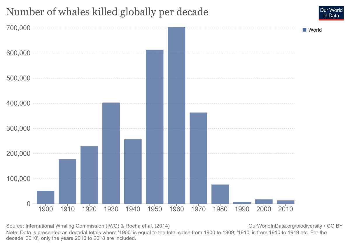 WilliamJRipple's tweet photo. A GOOD NEWS STORY: The International Whaling Commission agreed to a global moratorium which mostly made commercial whaling illegal. This came into action in 1987, and we see a dramatic drop-off in whale catch in the decades since then. We must save whales and all biodiversity. https://t.co/qdFK36Tspo
