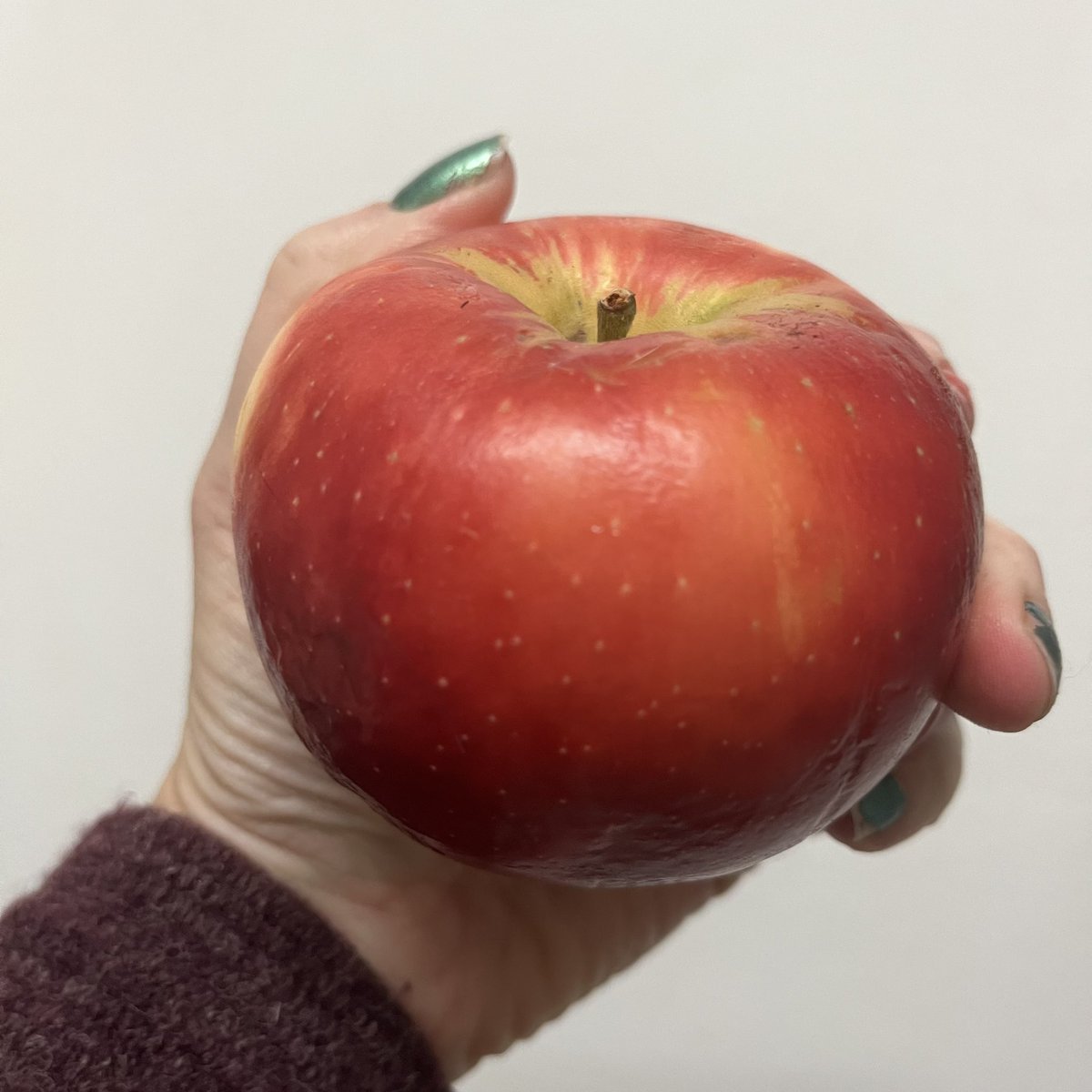 Sharon Collins, PAEMST tweet media