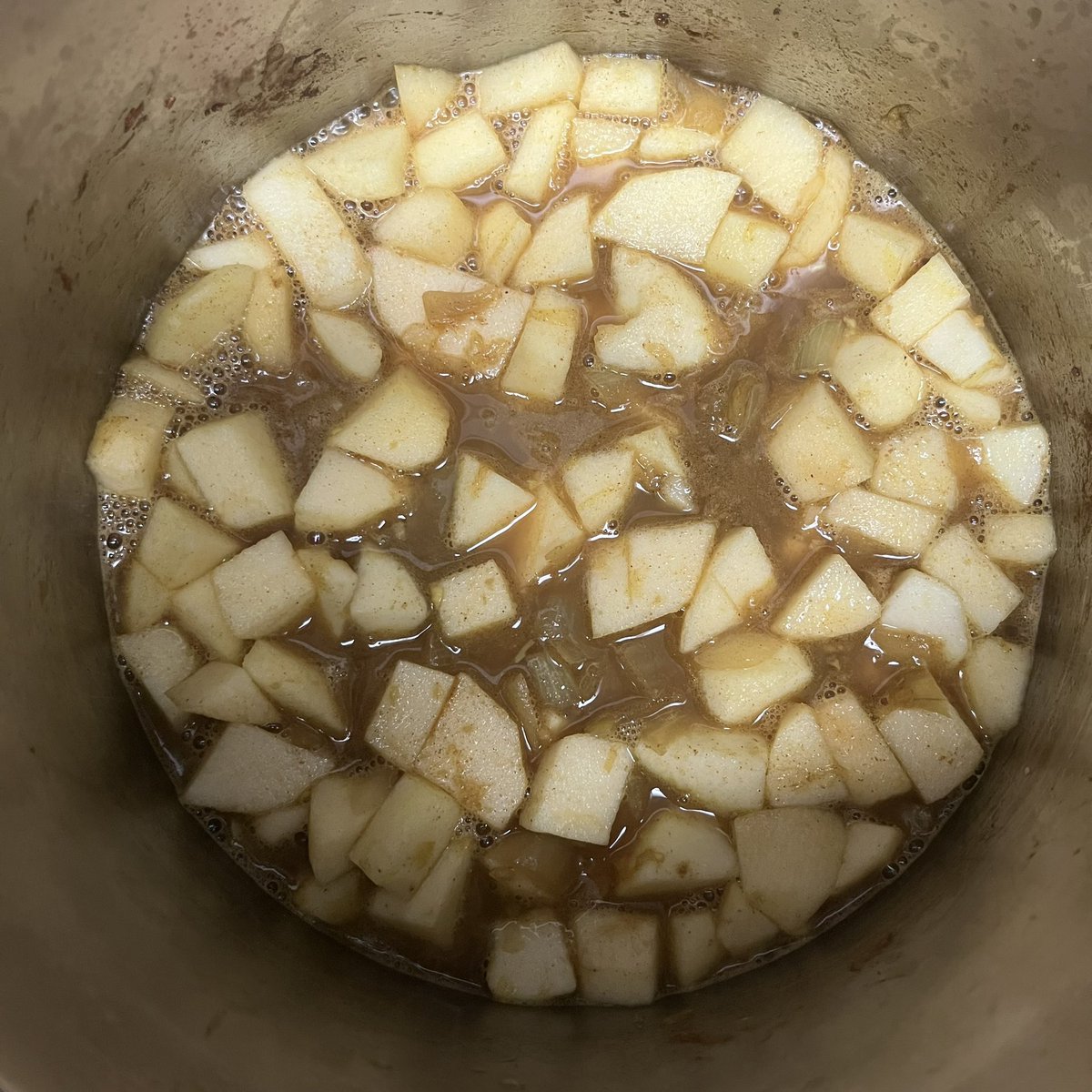 #FoodBeauty #345 - Curried Apple Soup from “The Enchanted Broccoli Forest” by @MollieKatzen…my husband <a href="/oboeguy/">David N</a>’s comment perfectly sums up this #soup: “This soup is so off-the-wall but so good.”  Ours was made with apples we picked <a href="/AlstedeFarms/">Alstede Farms</a>.