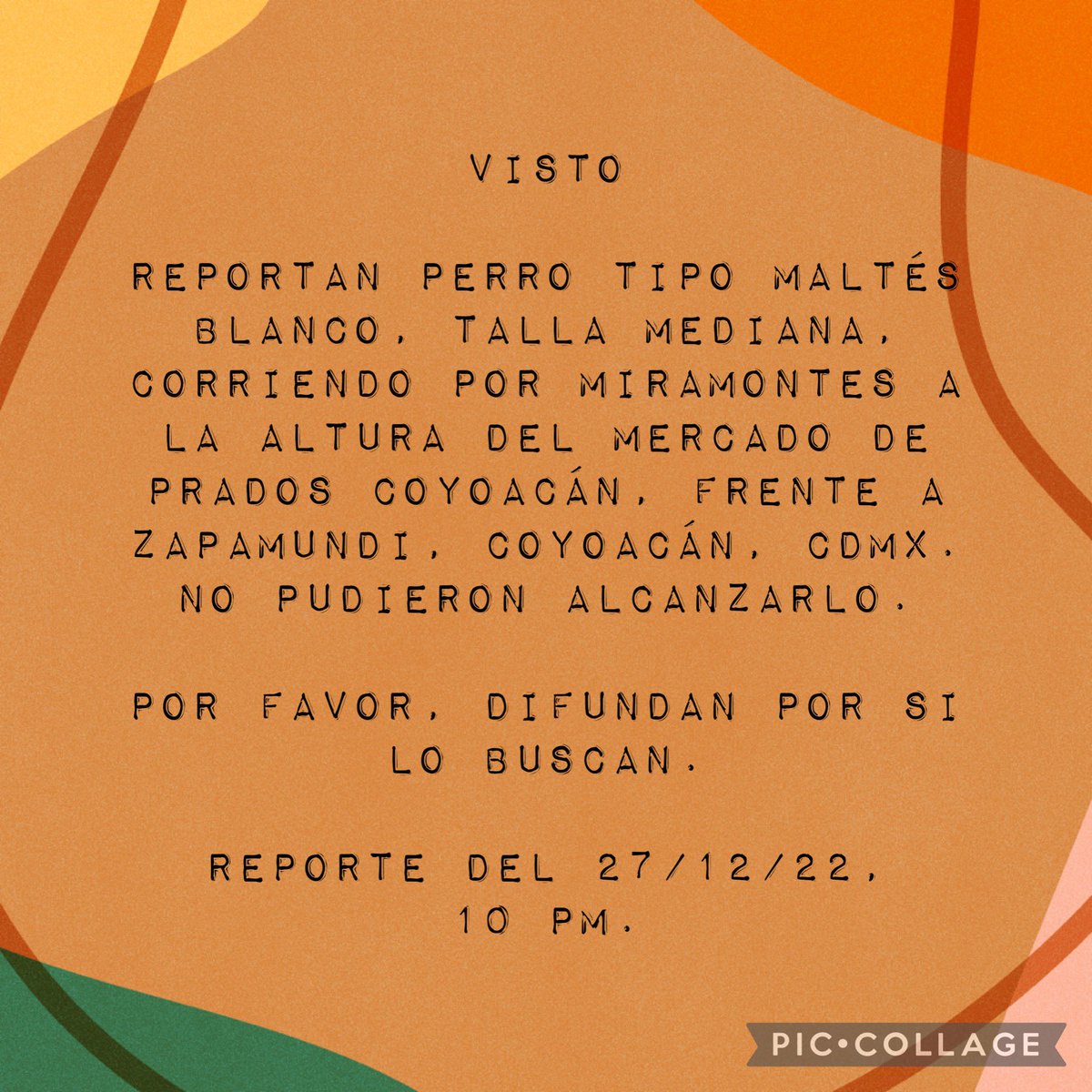 MascotaCoyoacan's tweet photo. #VISTO perr@ tipo maltés blanco corriendo por Miramontes a la altura del Mercado Prados de Coyoacán, frente al Soriana Zapamundi. No pudieron alcanzarlo.

Por favor, difundan por si lo buscan!

Reporte del 27/12/22, 10 PM. https://t.co/TuljzYCNlV
