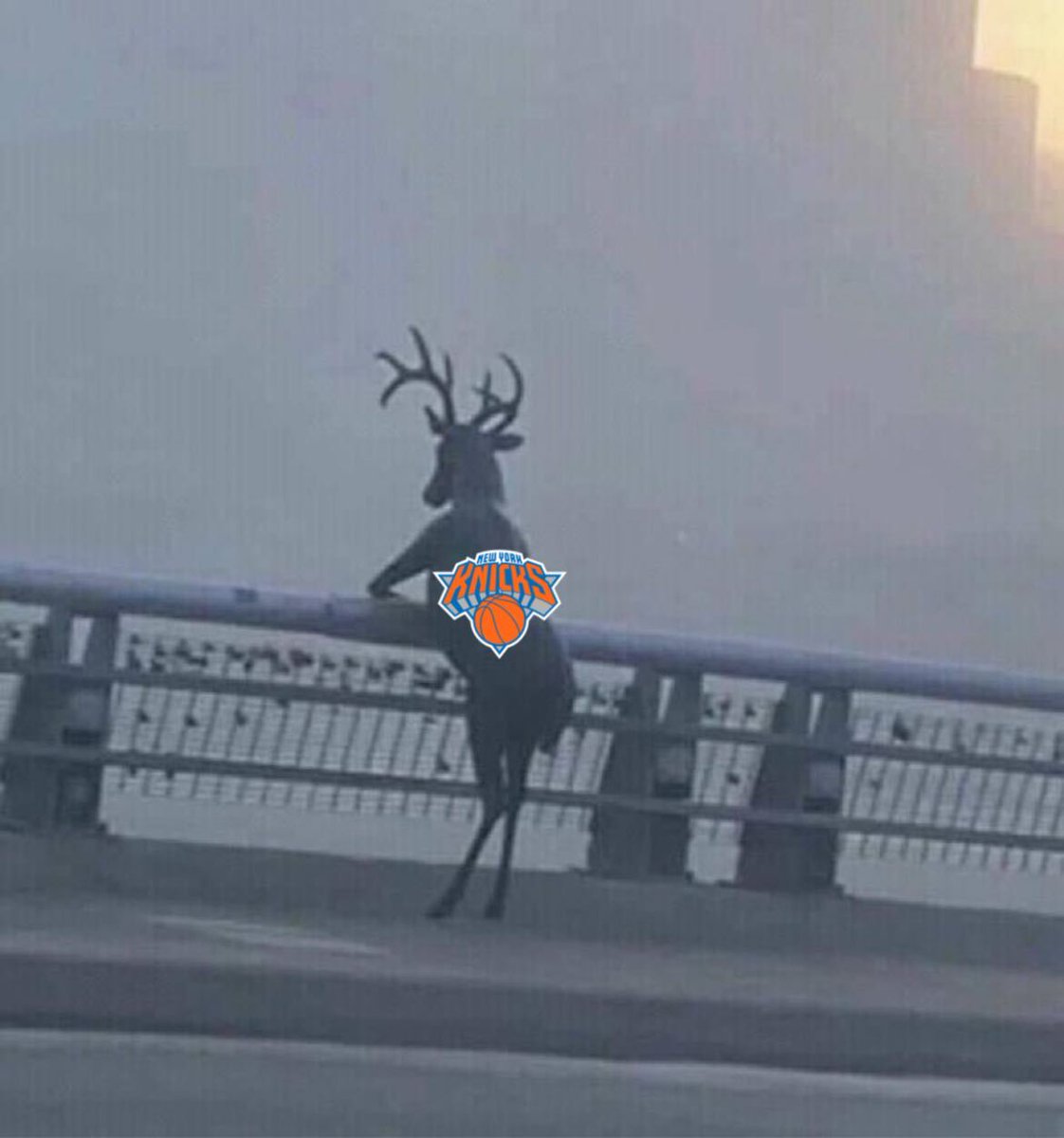 The life of being a Knicks fan.