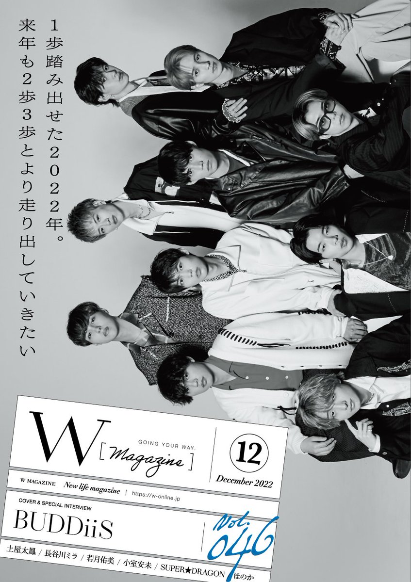 BUDDiiS 8LOOM 生写真 フライヤー ステッカー www.esnmurcia.org