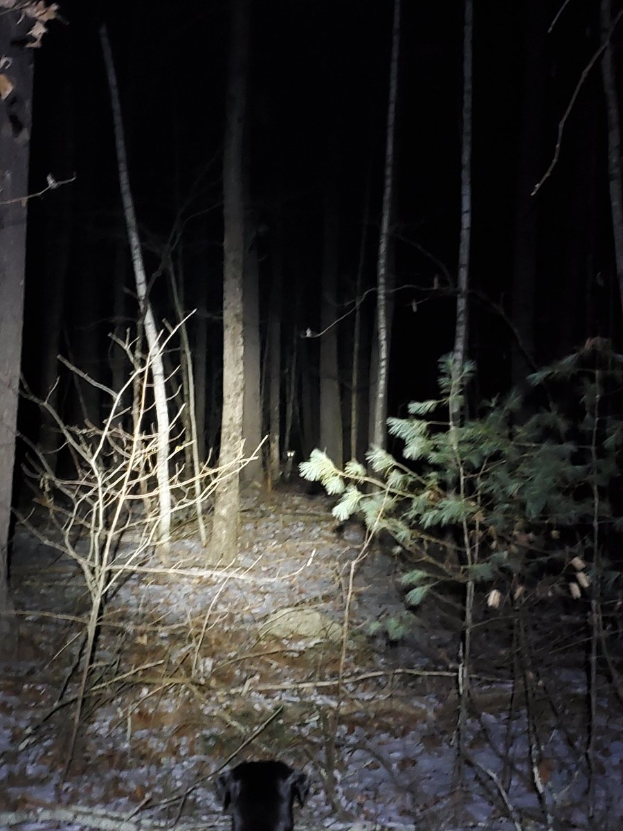 tech ghoul tweet media