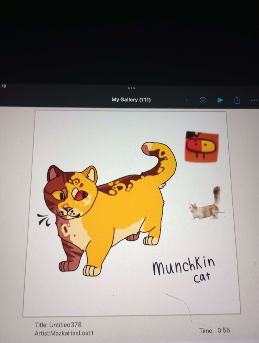 MazHasLostIt's tweet photo. Pilly cat design from the burner object show series https://t.co/QJAiqH3EKB