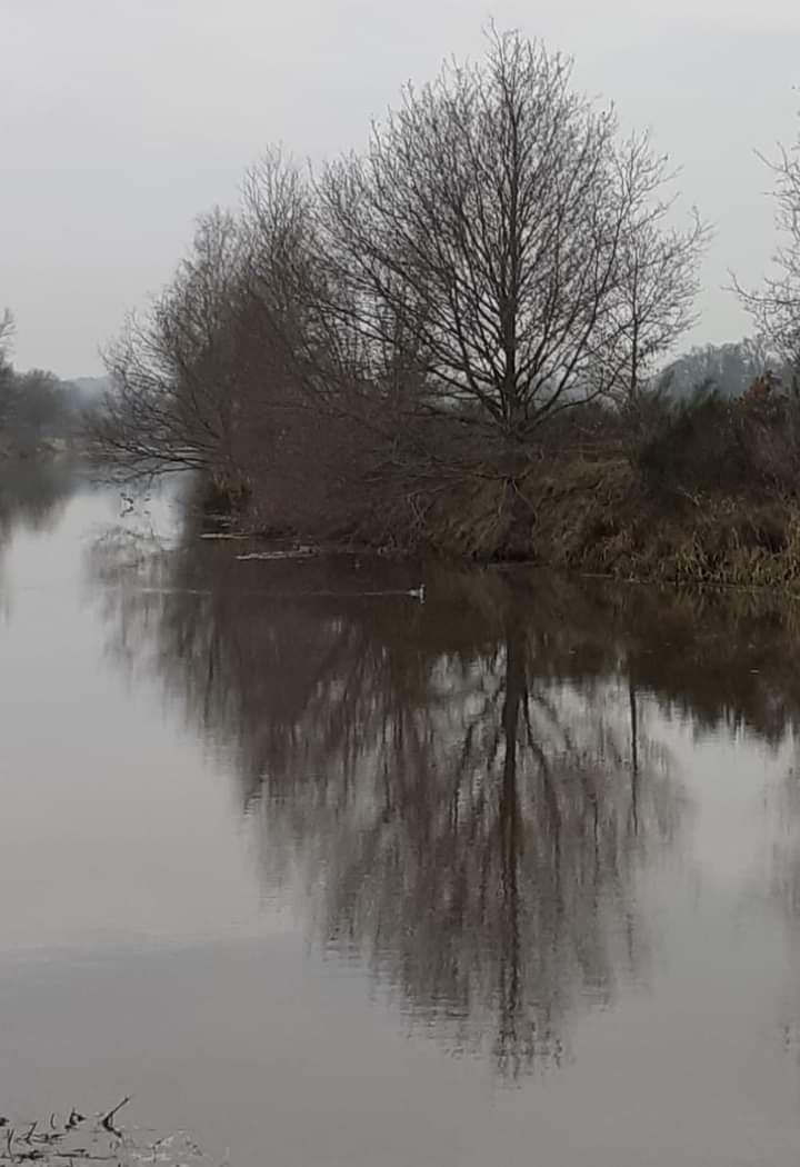Zoek de rust eens op deze manier