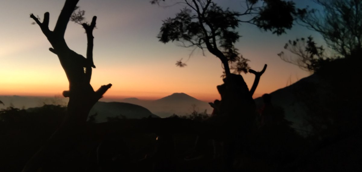 dieng_id_store's tweet image. Mumpung cerah hunting foto yuk #TasKamera Vanguard BIIN Series - #TasSlempang Rp150.000 di toko diengindonesia store Tokopedia. Bisa bebas ongkir, lho.
tokopedia.link/H6kvAg9m7vb