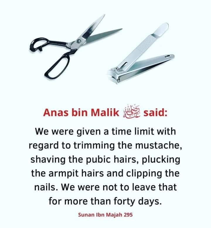 onetime_line's tweet photo. Hadith of the day https://t.co/jl1UDJsNg3