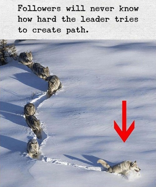 poojashende24's tweet photo. What steps are you taking to help your leader and make things happen? #circleofinnerchange #embraceandthrivechange #ConversationsForChange #PoojaShende #LotusSoul9 #author #speaker #keynotespeaker #lifecoach #personaldevelopment #success #ceocoaching #executiveboards #bethechange https://t.co/TaomDJyUNU