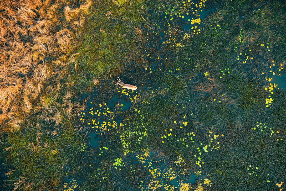 Kiran Ghadge tweet media