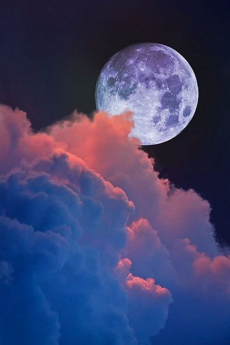 gil49504445's tweet photo. Good night 💙 https://t.co/rR2TSmG1ZG