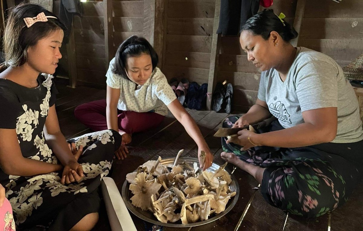 Partners Against Wildlife Crime tweet media