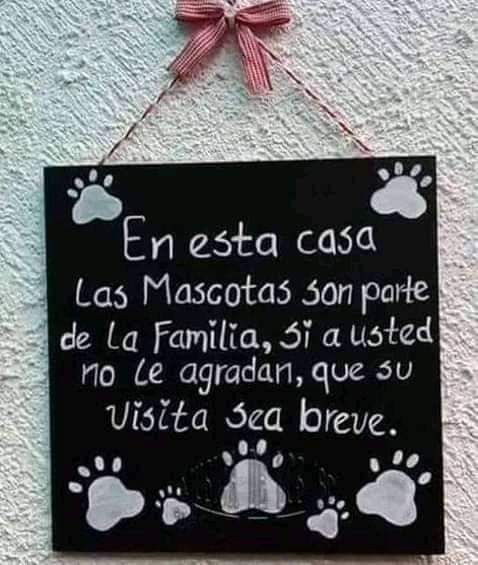 Impulso Pro Animal tweet media