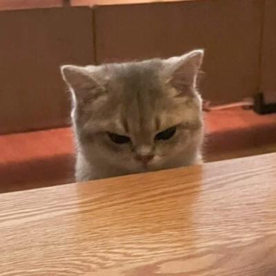 มานุดขอชิมหน่อย ไม่ให้ชิมจะงอนแล้วนะ
: