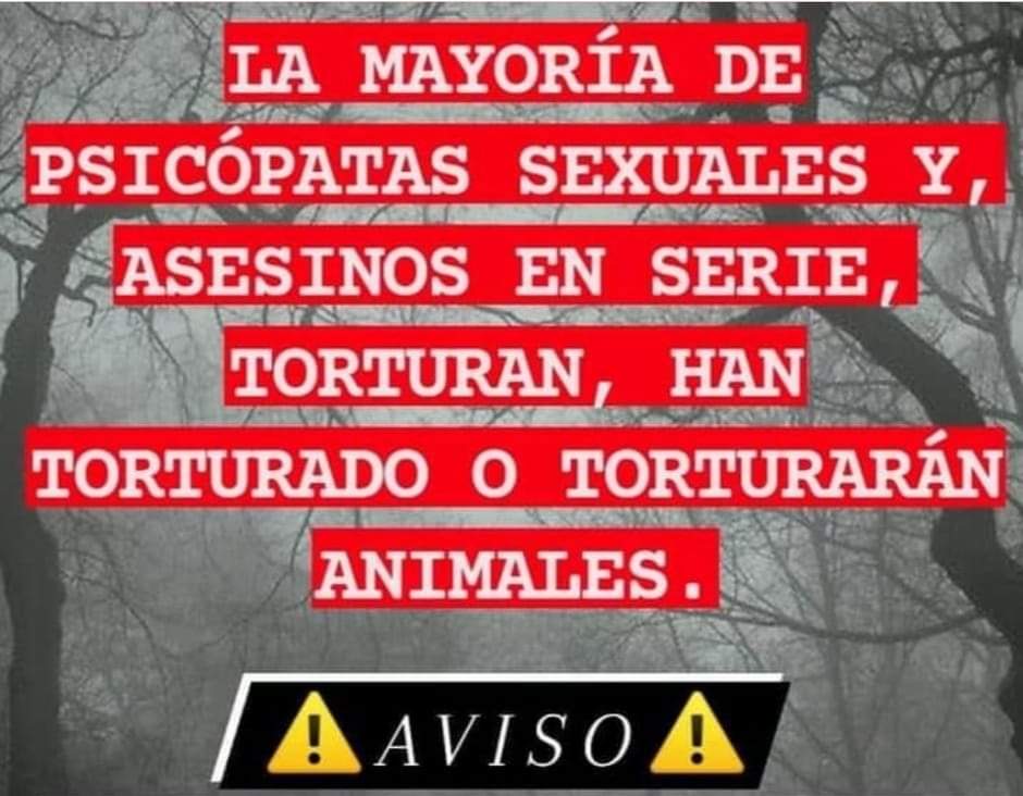 Impulso Pro Animal tweet media