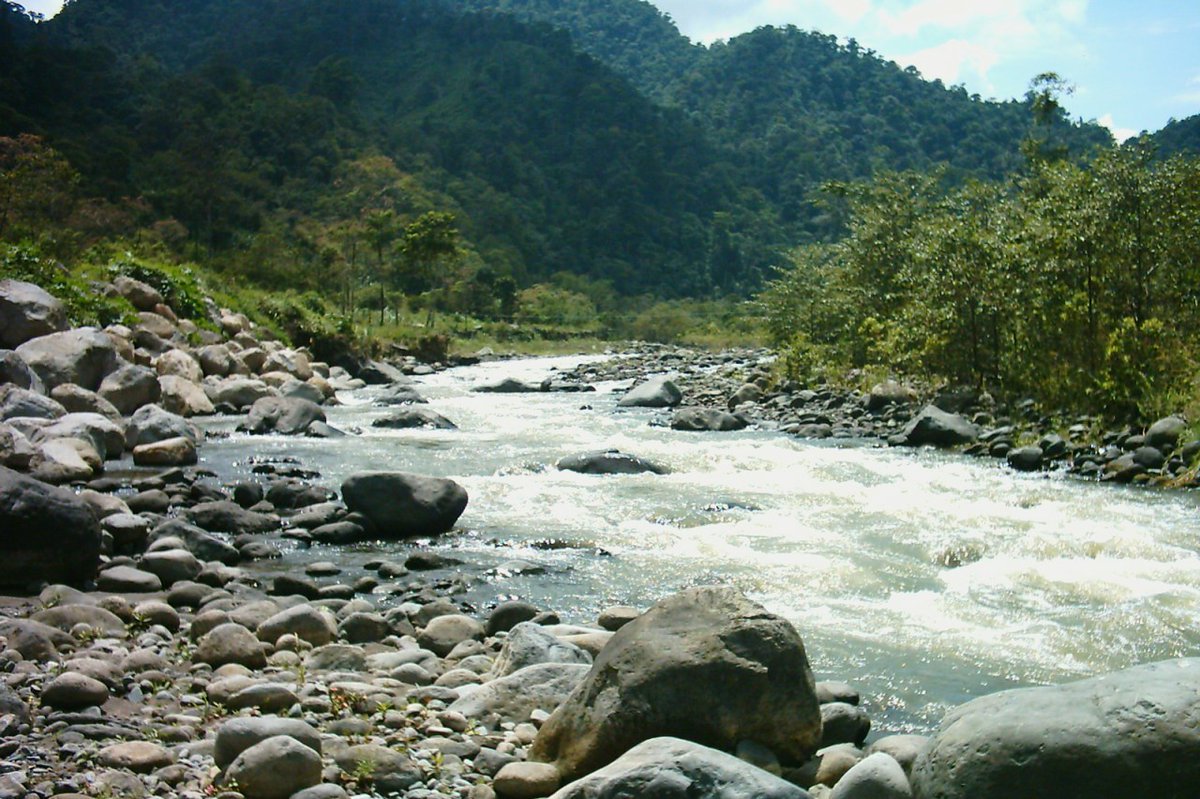 hermitnomada's tweet photo. The Mindo valley, a cloudy forest located on the western slope of the Andes in #Ecuador, one of the most ecologically diverse regions in the world is perfect for #hiking, #rafting, #trekking, #tubing, #MountainBiking, #HorsebackRiding, #birdwatching, #herping, #ChocolateMaking... https://t.co/KhRuusP411