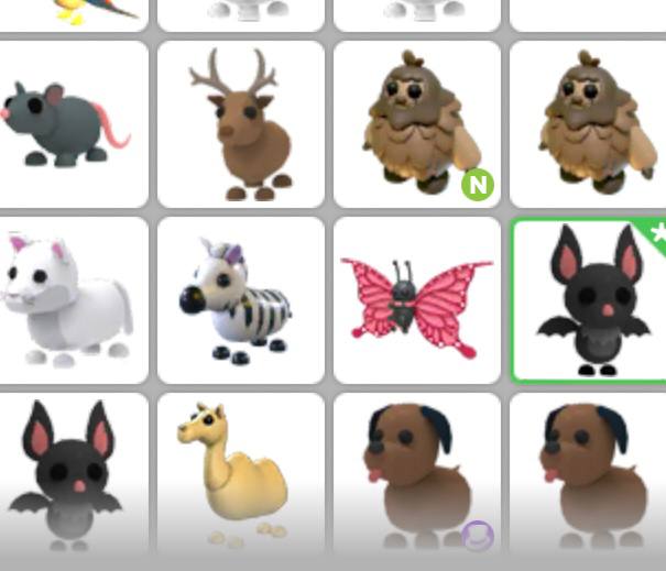 Buzzy_Beez's tweet photo. Does anyone want to trade my adopt me stuffs for rh or robux? More of what im trading in comments ( i can go first but you have to be really trusted) 

#adoptme
#royalehigh
#crosstraderoblox
#robuxtrading https://t.co/f6RjQ2Gg7f