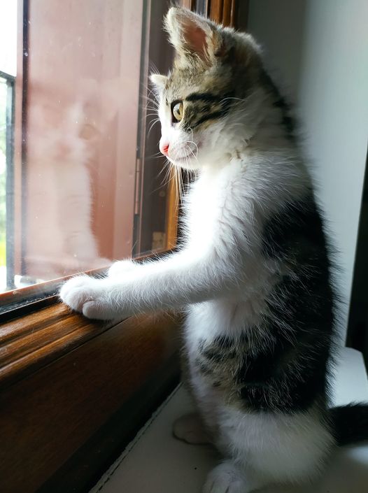 💙💛🙏God bless America tweet media