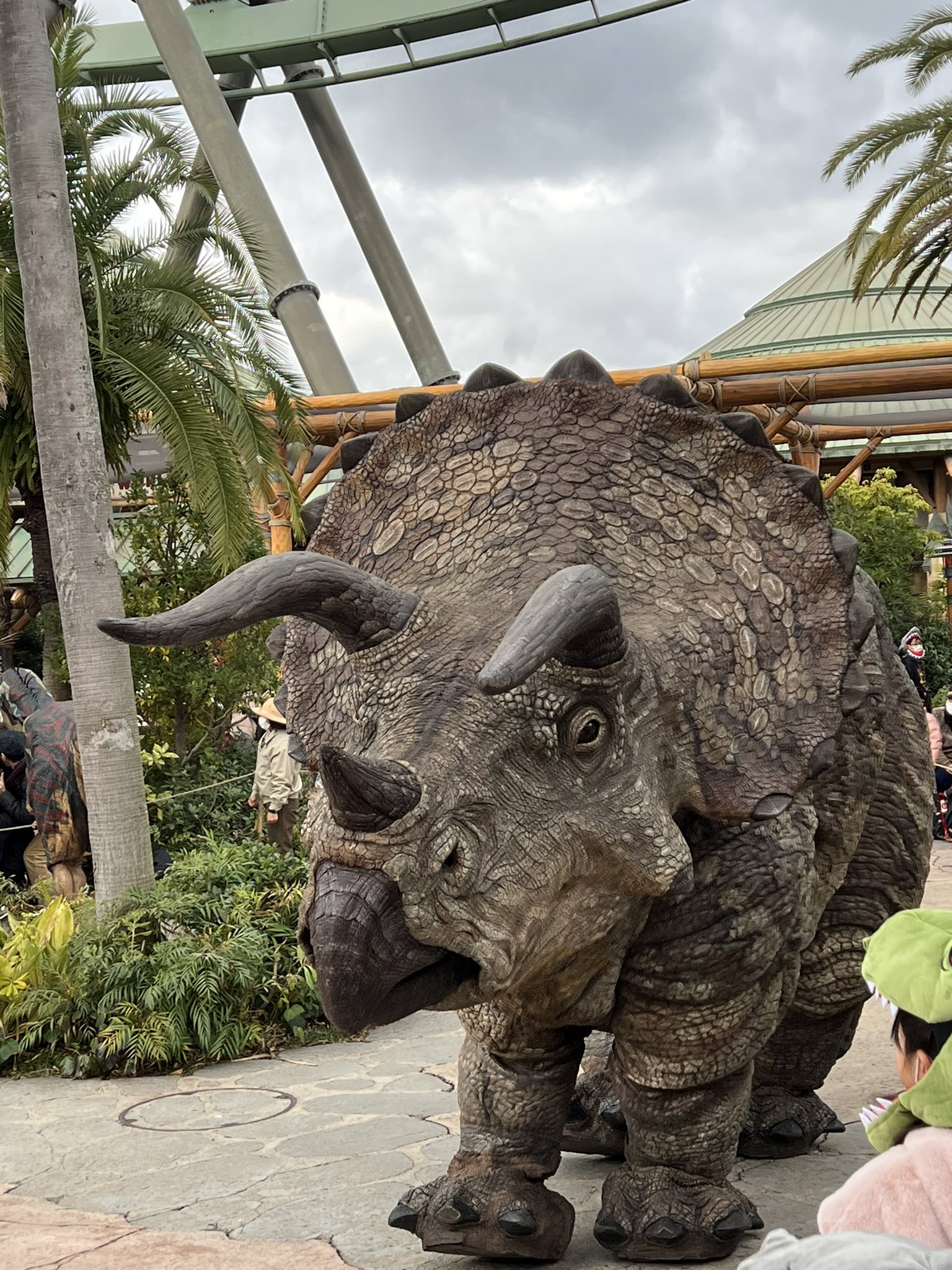 TRICERATOPS 15TH ANNIVERSARY SHOW at 日比谷 Amazon.co.jp: TRICERATOPS “GOING TO THE MOON