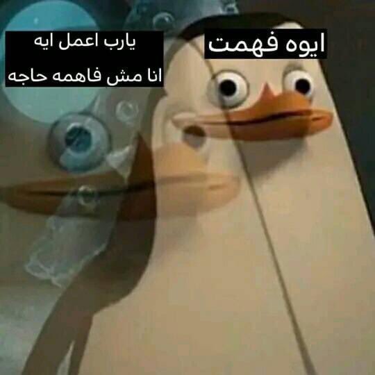 egymeme11's tweet photo. انا بعد ما شخص شرحلي الموضوع للمره الألف : https://t.co/WUECl9tD5e