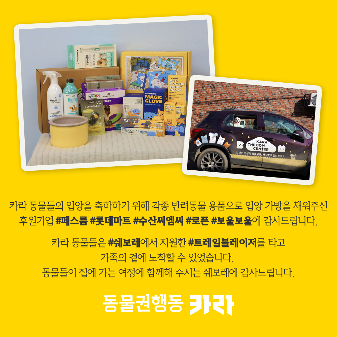 ekara_org's tweet image. 대전 유성구 도살장에서 구조된 아쑬이의 입양을 축하해 주세요!

아쑬 입양후기 &amp;gt; ekara.org/parttake/revie…
