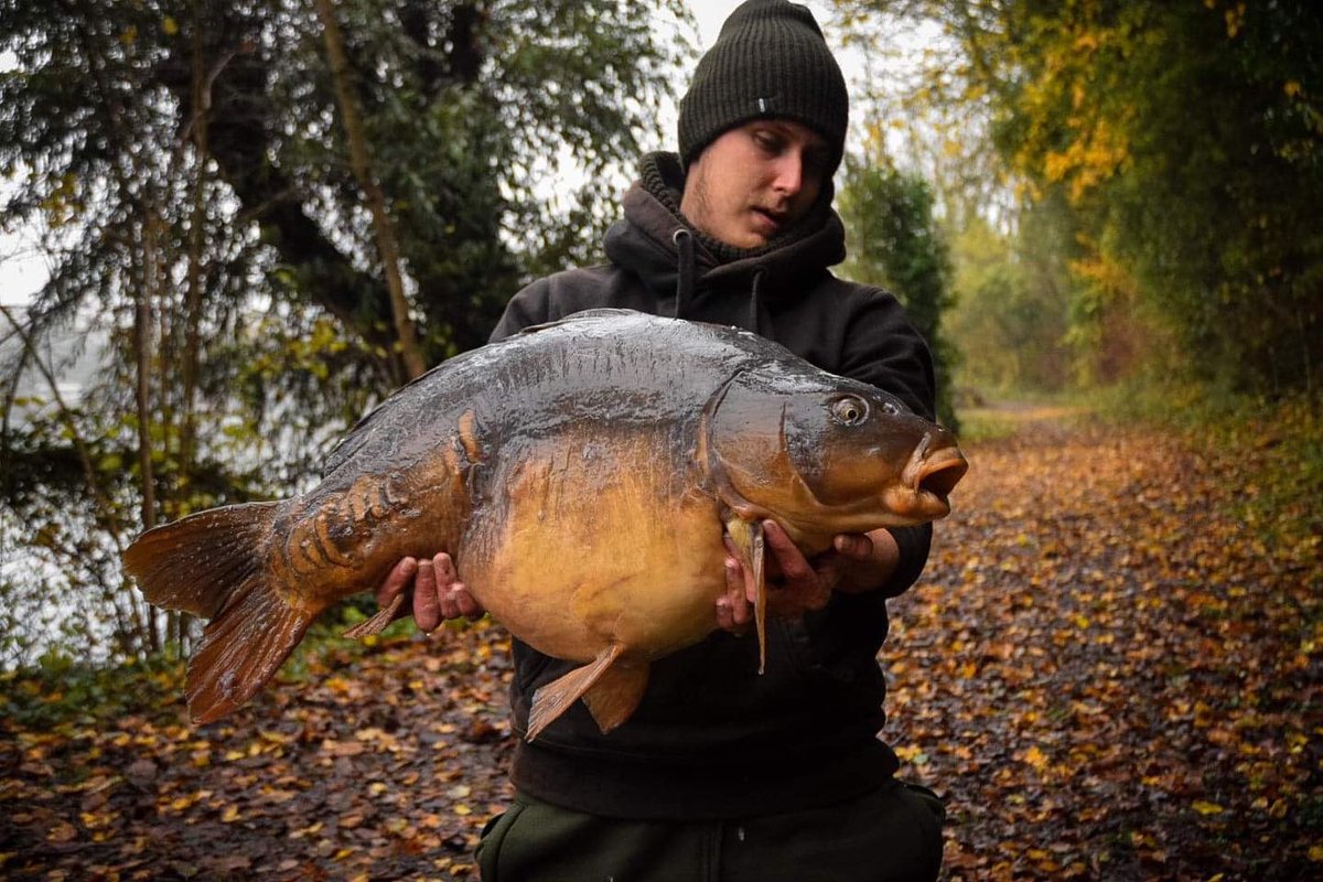 Hobo Armour tweet media