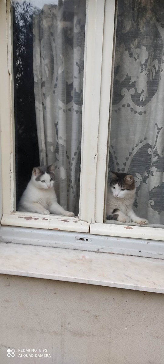 GPanouts (@gpanouts1) on Twitter photo 