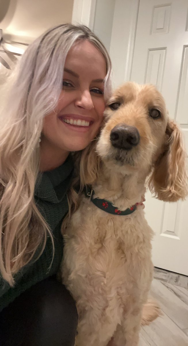 Jasper_Wasper's tweet photo. My hooman says we were matching with sweaters and my special collar on Christmas for the extra busy hooman time family season days but I am pretty sure I am colorblind https://t.co/o7JuwlWVp1