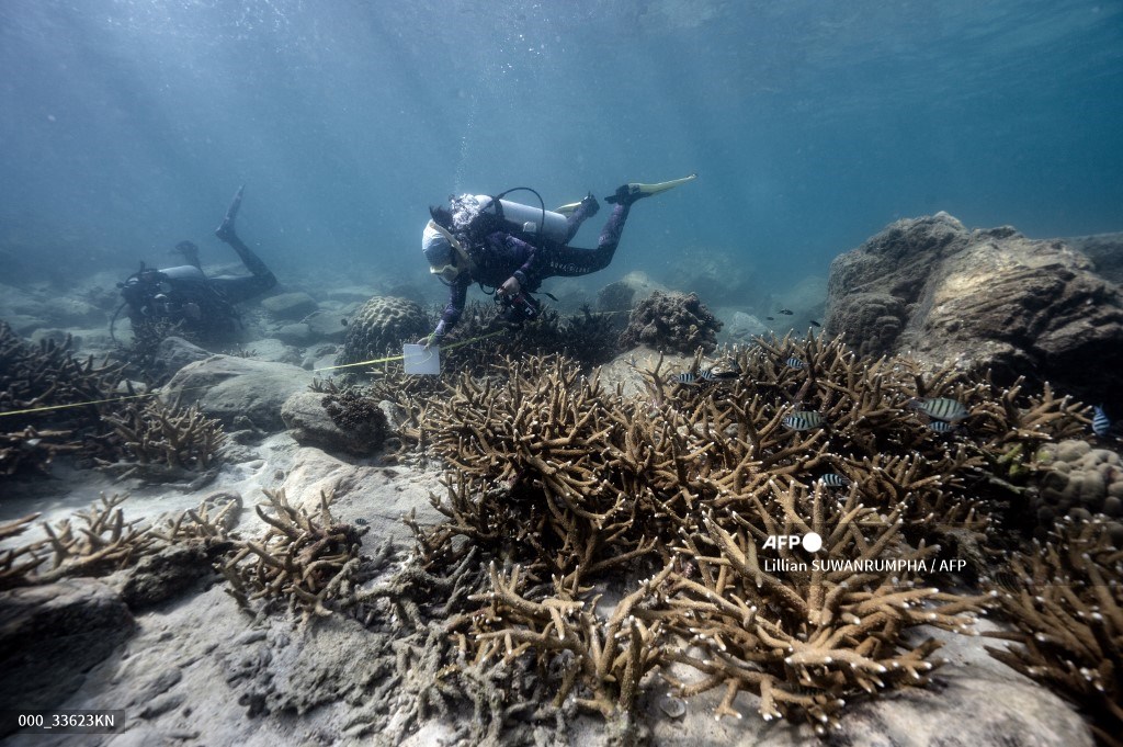 AFP Photo tweet media
