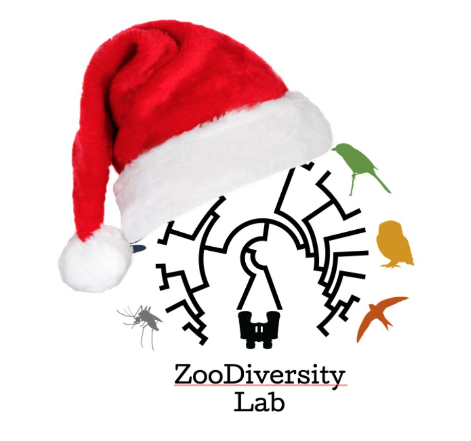 Happy Holidays and a 2023 full of Science!
#winterholidays #zoology <a href="/UniAvogadro/">UPO - Università</a>