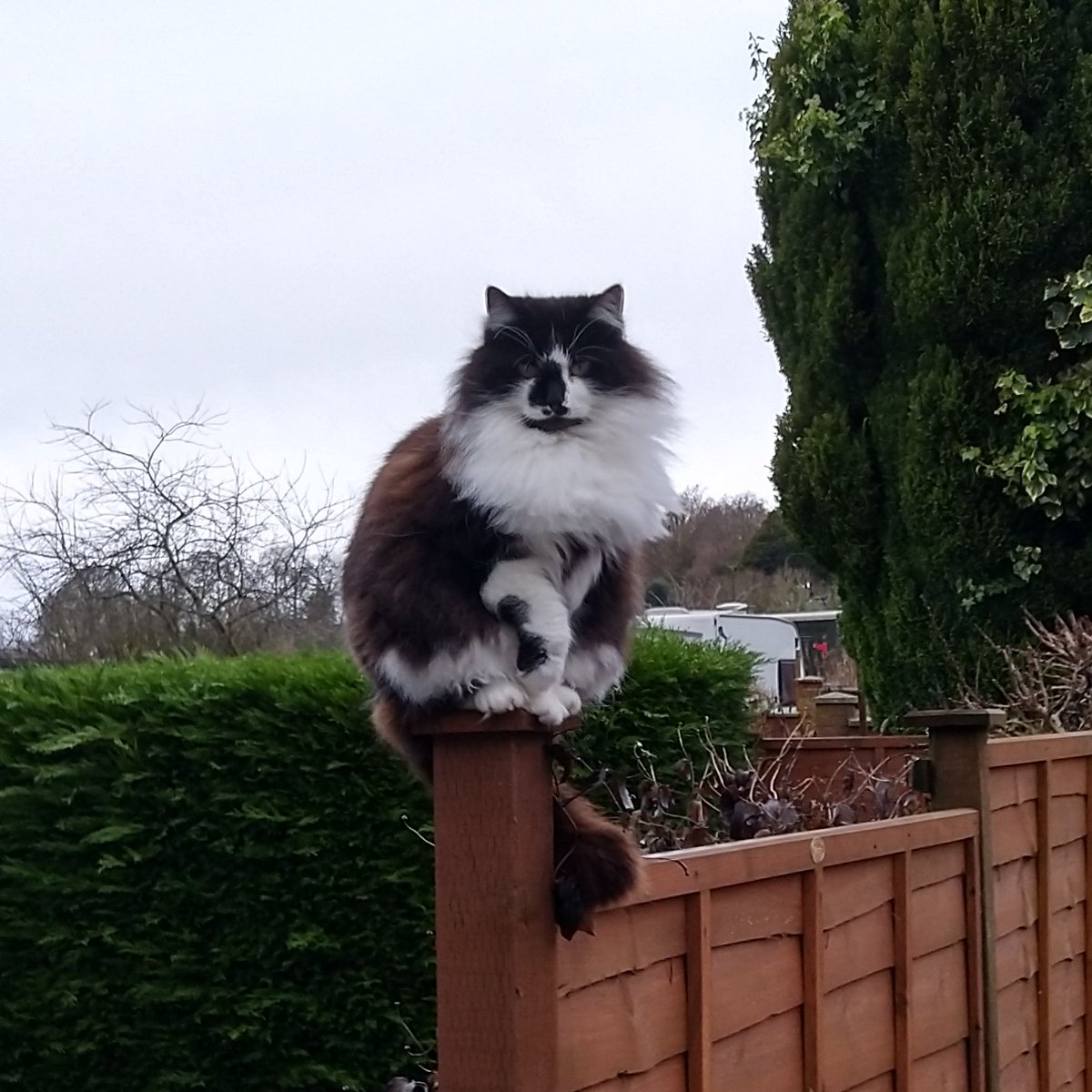 James Smith tweet media