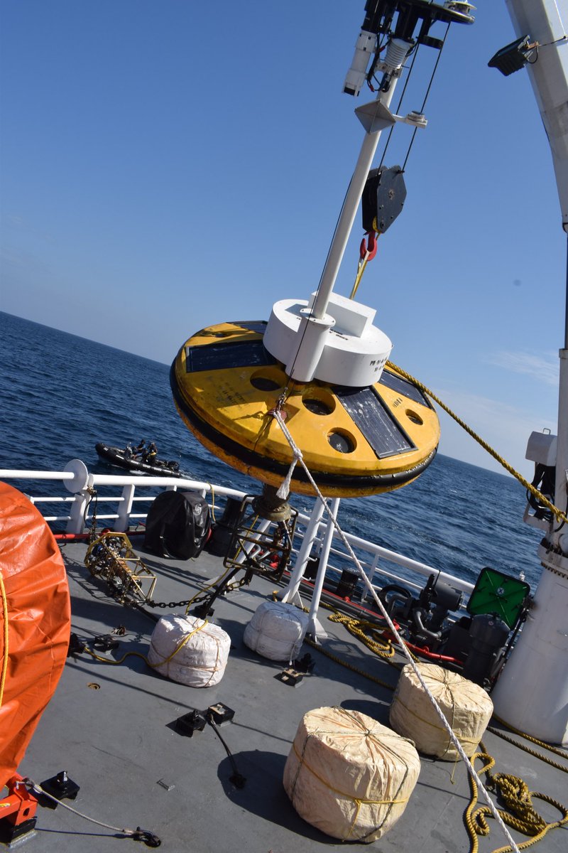 Tsunami midway buoy