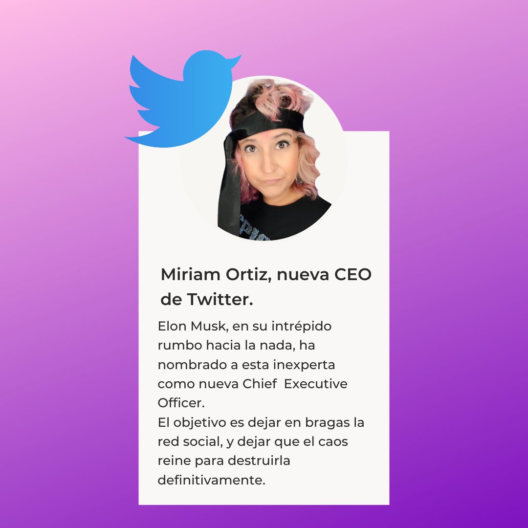 Miri_flipy's tweet photo. Con mi experiencia en RRSS y el mejor talento de La India sacaremos esto adelante.

𝗚𝗼 𝗮𝗵𝗲𝗮𝗱! 👉

#twitter #rrss #communitymanager #communitymanagerzaragoza #socialmedia #socialmediazaragoza #ceotwitter #elonmusk #diadelosinocentes   #díadelosinocentes https://t.co/UXiJPqJHg6