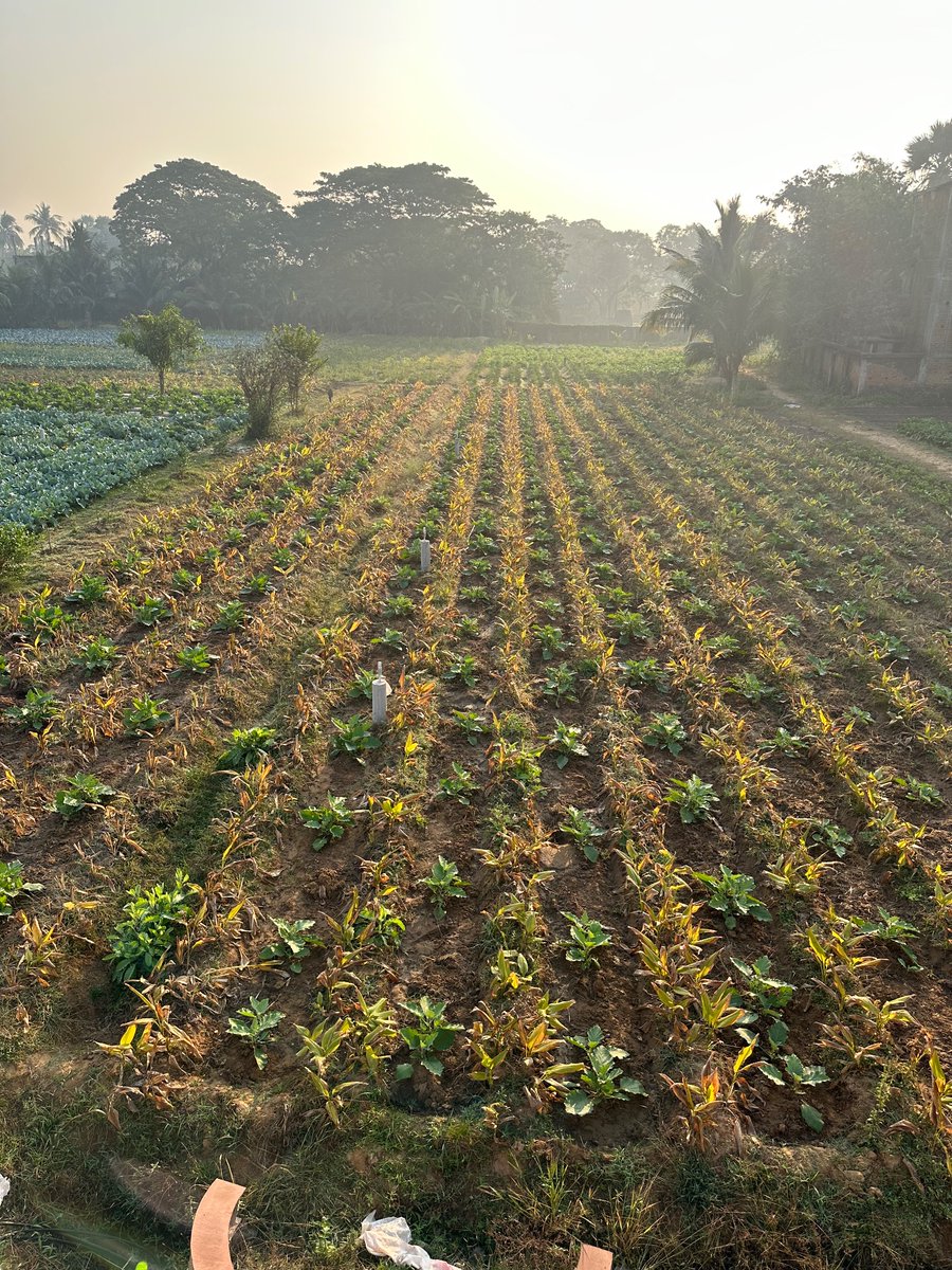 soysaurabh's tweet photo. And an immersion into best agri practices. https://t.co/wiXHQMZ08a