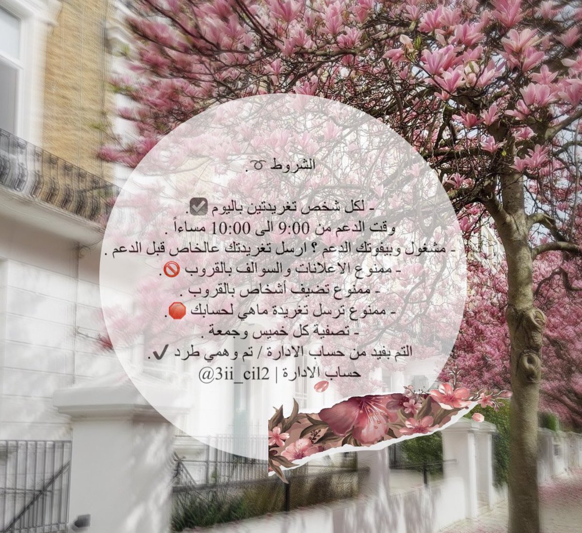 3ii_cil2's tweet photo. اهلاً فيكم جميعاً أدارتنا لايك 🤍.
- لكل شخص له تغريدتين باليوم فقط .
- وقت الدعم يبدأ من 9:00 لـ 10:00 qm.
- ممنوع الاعلانات والسوالف بالقروب .
- التصفية يومياً وببلوك ✖️.
- التم توثيق فيد من حساب الادارة اجباري .
- حساب الادارة | @3ii_cil2 📮. https://t.co/GXYZOWKcTr